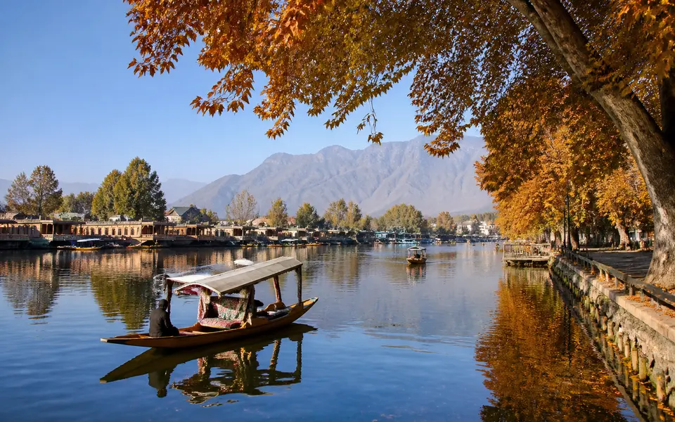 Autumn view of Dal Lake with shikaras and houseboats framed by golden chinar trees and clear mountains.