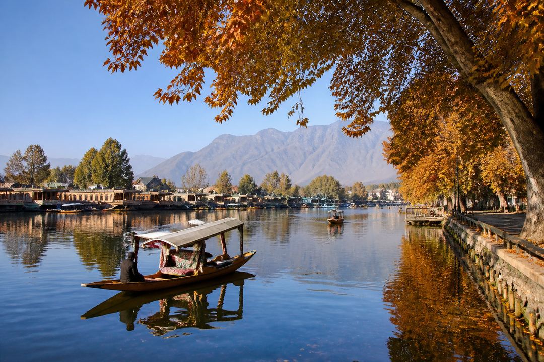 Autumn view of Dal Lake with shikaras and houseboats framed by golden chinar trees and clear mountains.