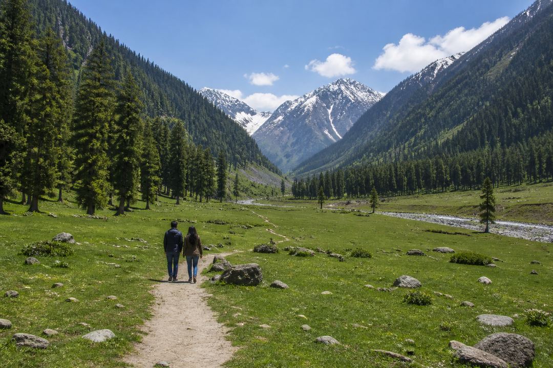 Quiet summer scene in Aru Valley near Pahalgam with grassy meadow, pine forests, snow-capped peaks and a couple walking on a trail.
