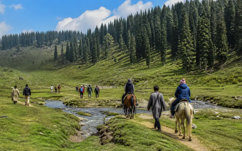 Visitors walking and riding ponies across a grassy high meadow beside a stream in the mountains.