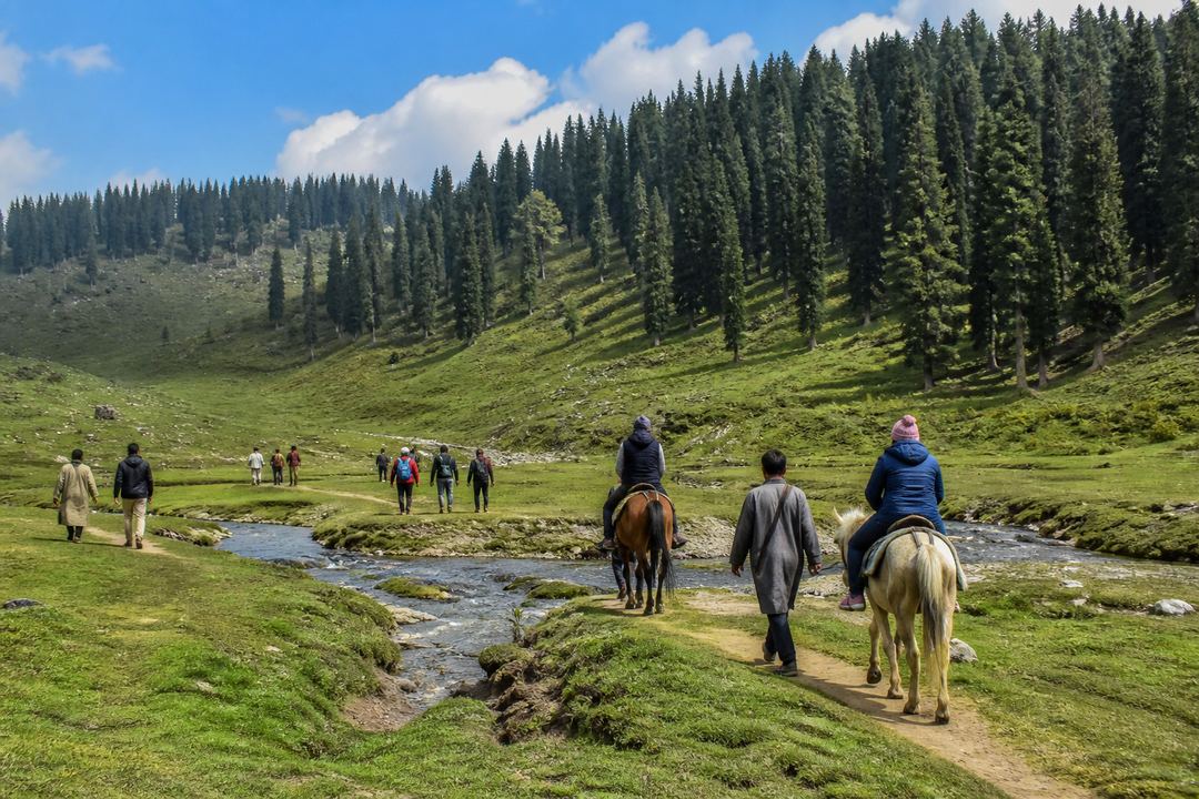 Visitors walking and riding ponies across a grassy high meadow beside a stream in the mountains.