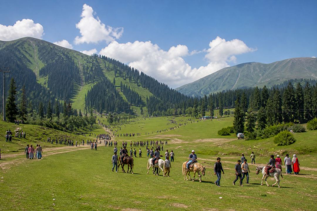 Summer view of Gulmarg meadow with green slopes, pine trees and visitors walking and riding horses under a bright sky.
