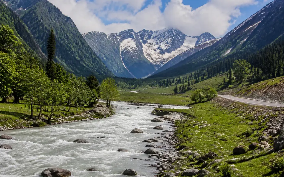 Wide summer view of Sonamarg valley with the Sindh River, green meadows, pine forest slopes and snow-capped peaks in the background.