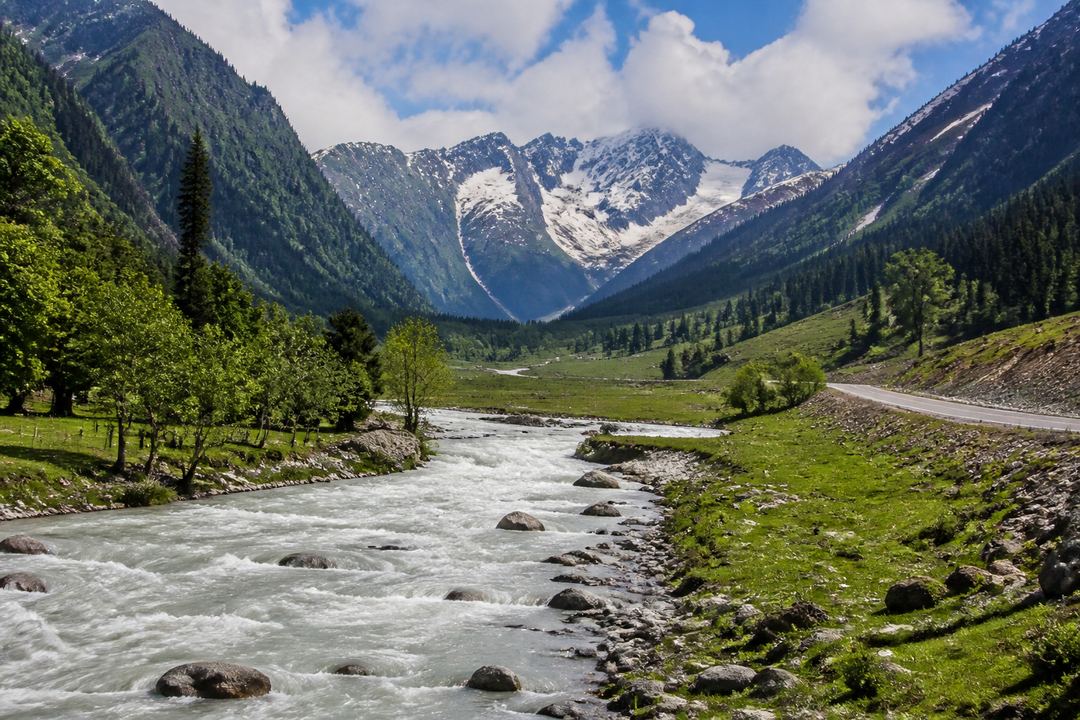 Wide summer view of Sonamarg valley with the Sindh River, green meadows, pine forest slopes and snow-capped peaks in the background.