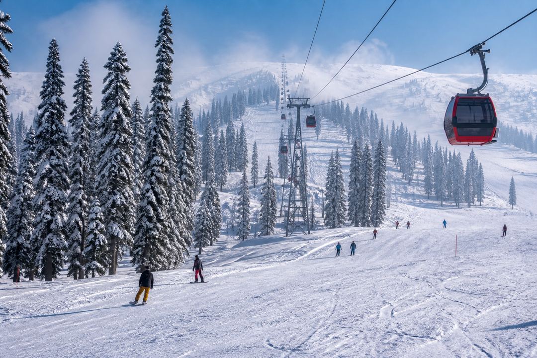 Gulmarg in winter covered in deep snow with pine trees, ski slopes and a cable car visible.