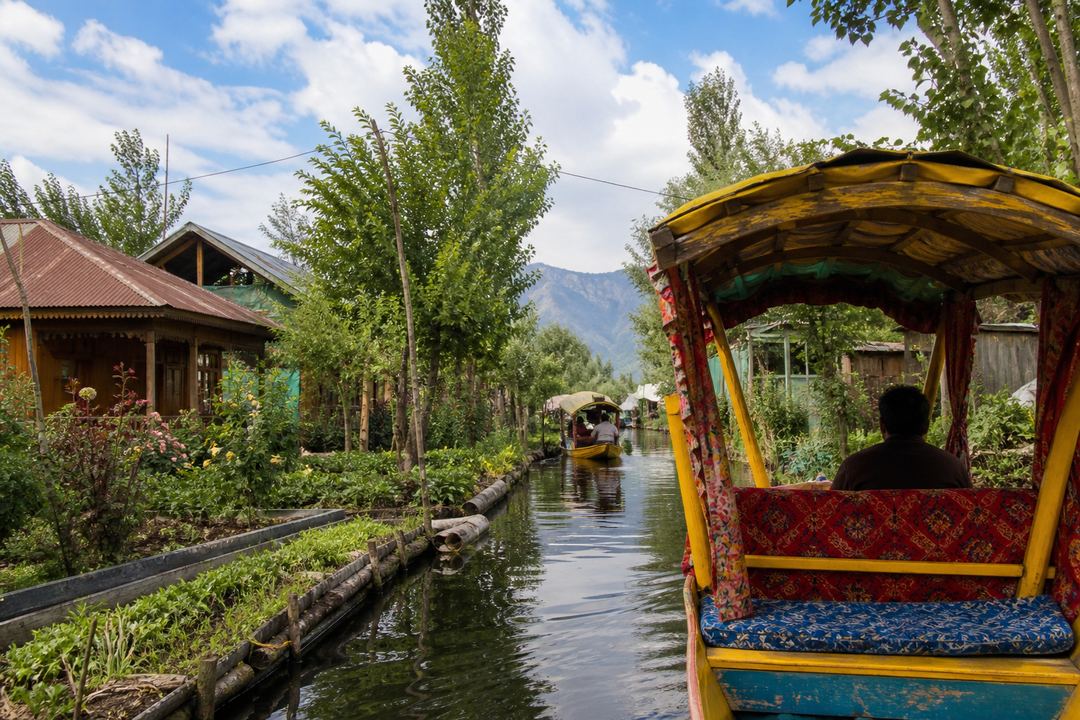 A shikara moving through a narrow canal of Dal Lake lined with floating gardens and small houses.