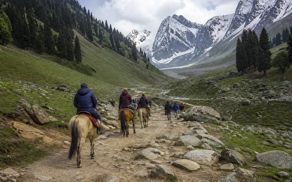 Pony trail leading from Sonamarg towards the Thajiwas Glacier valley, with travellers walking or riding against a backdrop of green slopes and distant snow.
