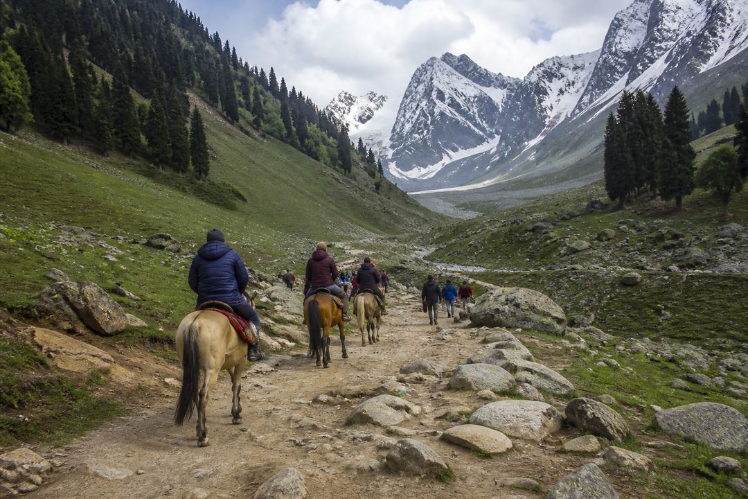 Pony trail leading from Sonamarg towards the Thajiwas Glacier valley, with travellers walking or riding against a backdrop of green slopes and distant snow.